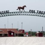 History of the Missouri Fox Trotting Horse Breed Association