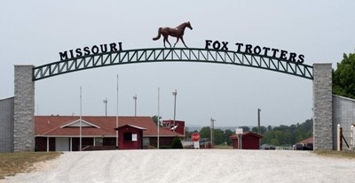 History of the Missouri Fox Trotting Horse Breed Association